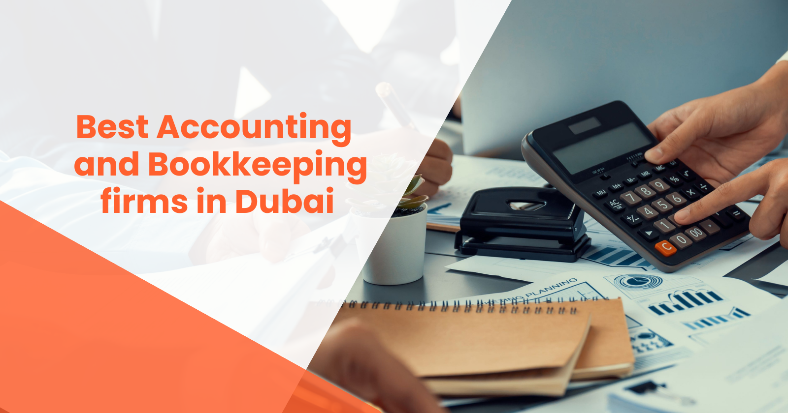 Best Accounting and Bookkeeping firms in Dubai offering professional financial services by RVG