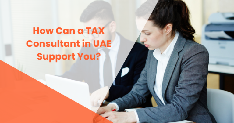 How Can a TAX Consultant in UAE Support You?