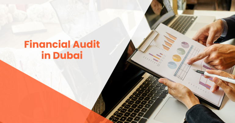 Financial Audit in Dubai | RVG Chartered Accountants providing expert audit services