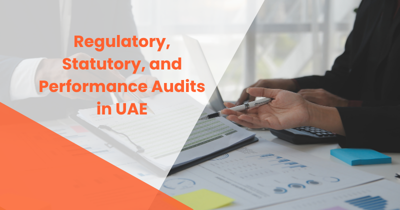 Regulatory, Statutory, and Performance Audits in UAE