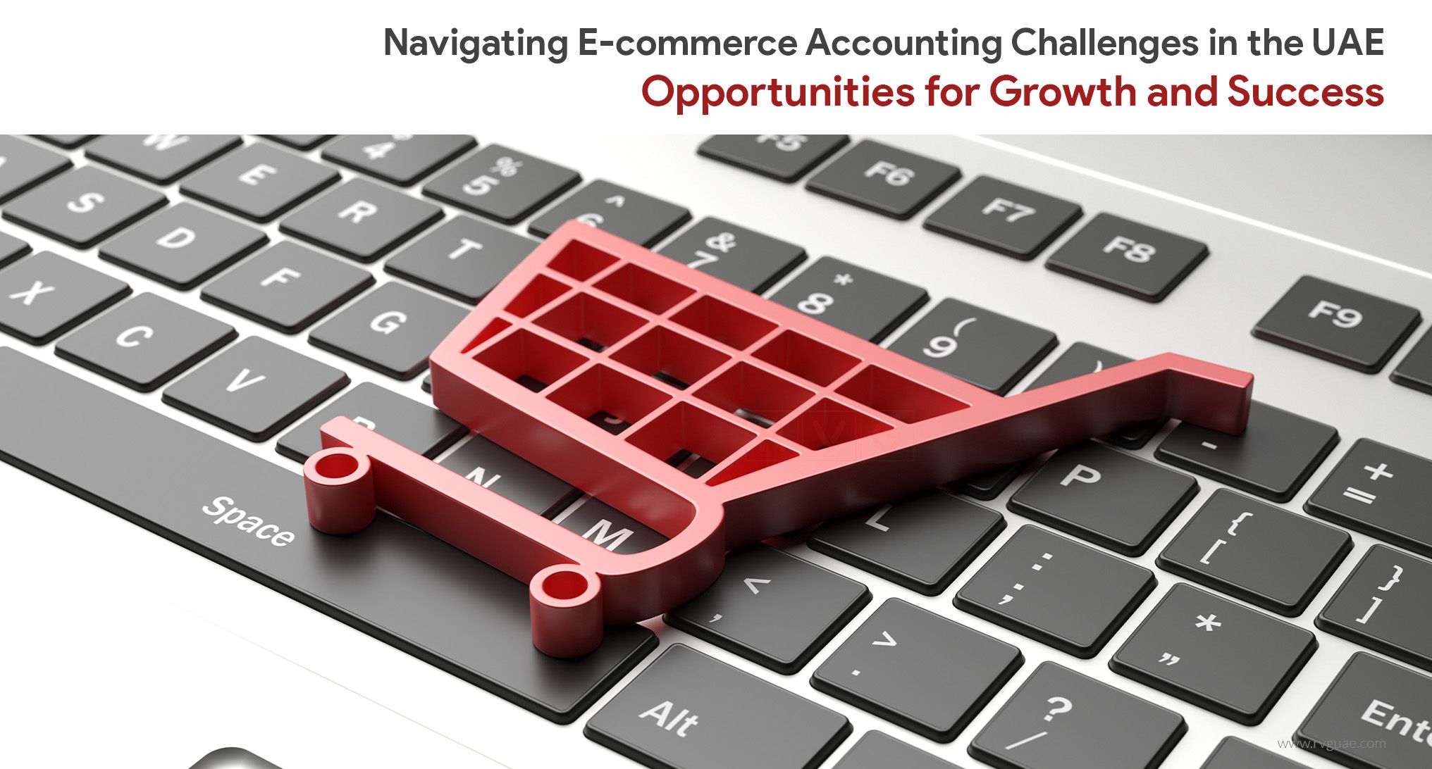 Accounting for Ecommerce Business in Dubai