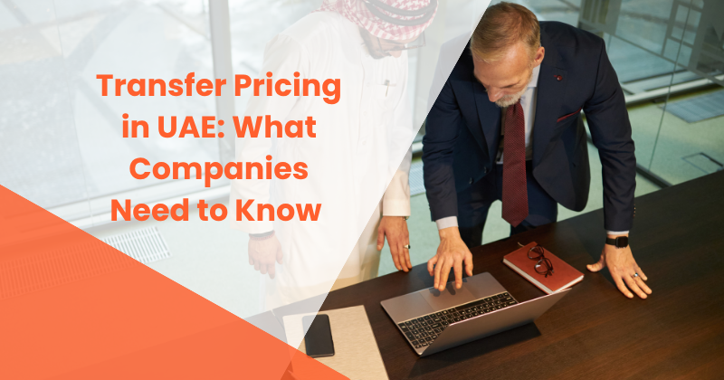 Business professionals discussing transfer pricing strategies in UAE for corporate tax compliance
