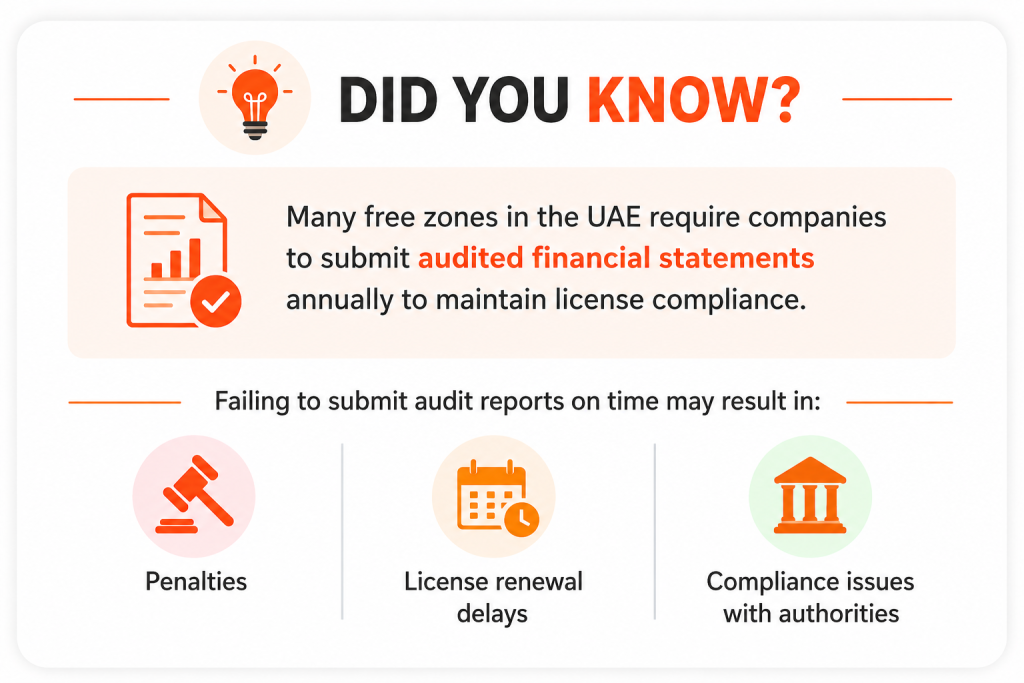 benefits of external auditors UAE